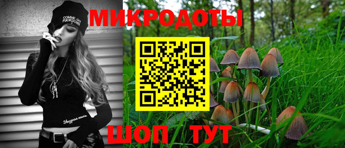 Луга  закладка  Вход с VPN  Псилоцибиновые грибы GOLDEN TEACHER 